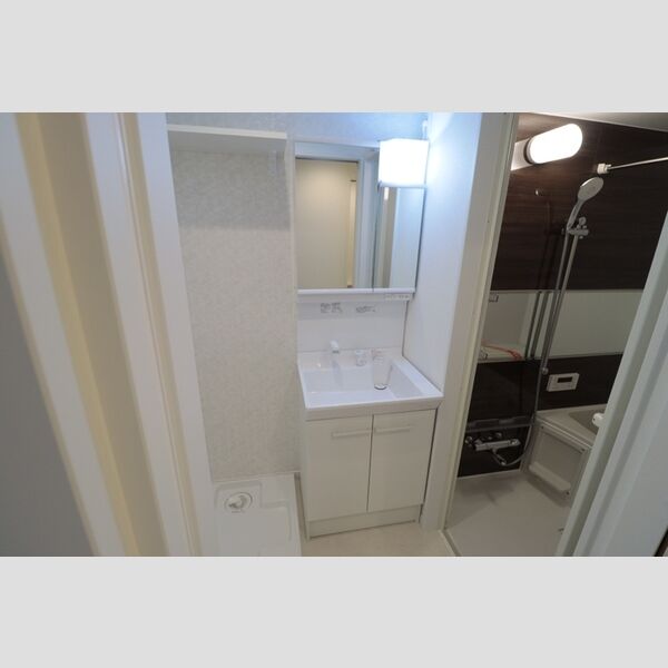 グレイスグリーンヒルズ 洗髪洗面化粧台