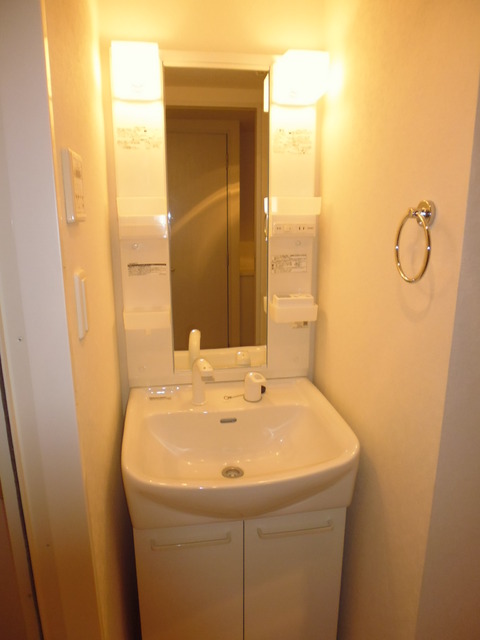トレセリア大和田0108号室 洗面所
