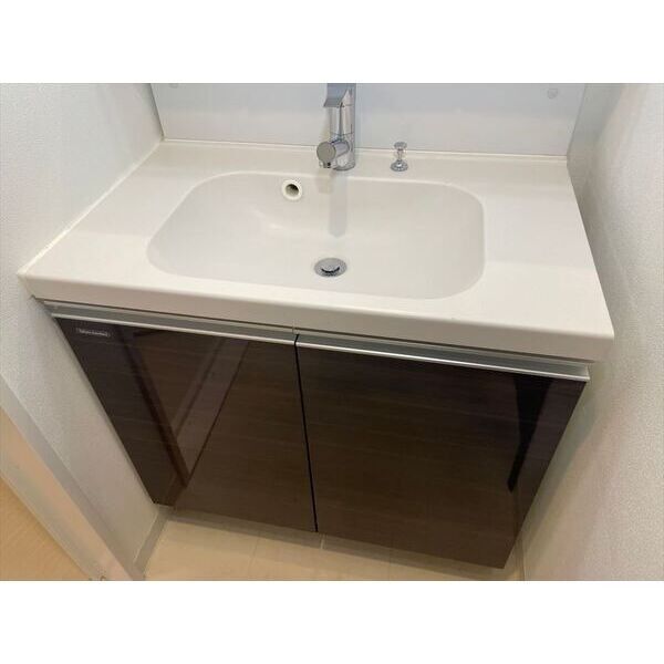 LEXE八広502号室 洗面