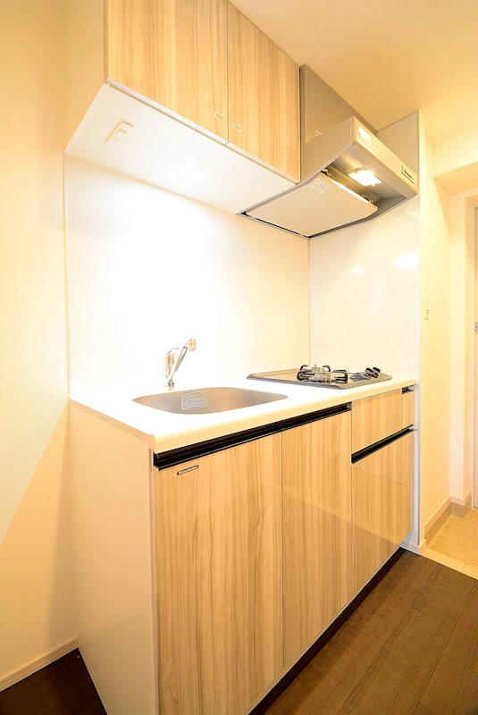 ステージファースト八王子Ⅱ ※カラータイプ異なります。