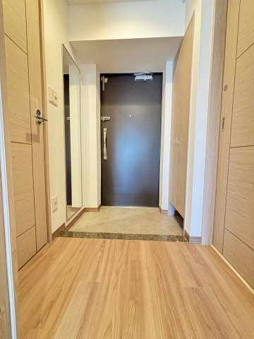 ＬＡＳＡ大崎Ⅴ0206号室 玄関