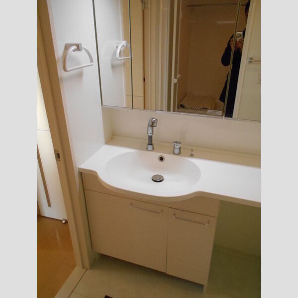 本郷の杜 ラウン101号室 洗面