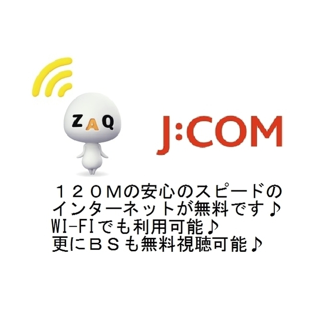スマイラス新江古田102号室 インターネット無料