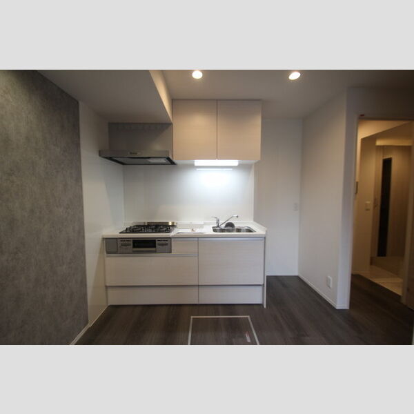 D-paina港南105号室 システムキッチン