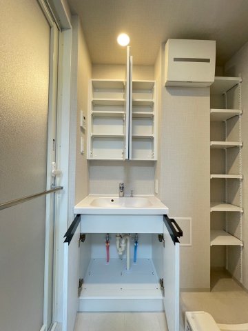 DIPS綾瀬506号室 洗面