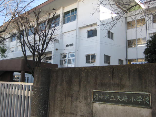 メゾンアドラブール 府中市立矢崎小学校まで781ｍ