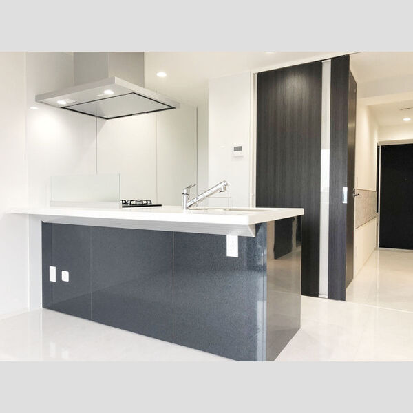 ラ・ベレッツァ　フェリオ502号室 玄関