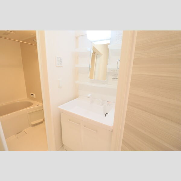 D Paina 中野島Ⅱ303号室 洗髪洗面化粧台