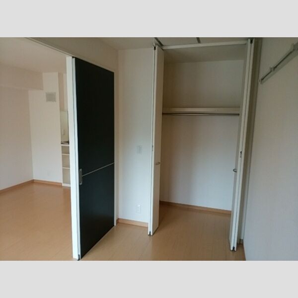 イオソレーユ　Ⅱ202号室 南洋室クローゼット