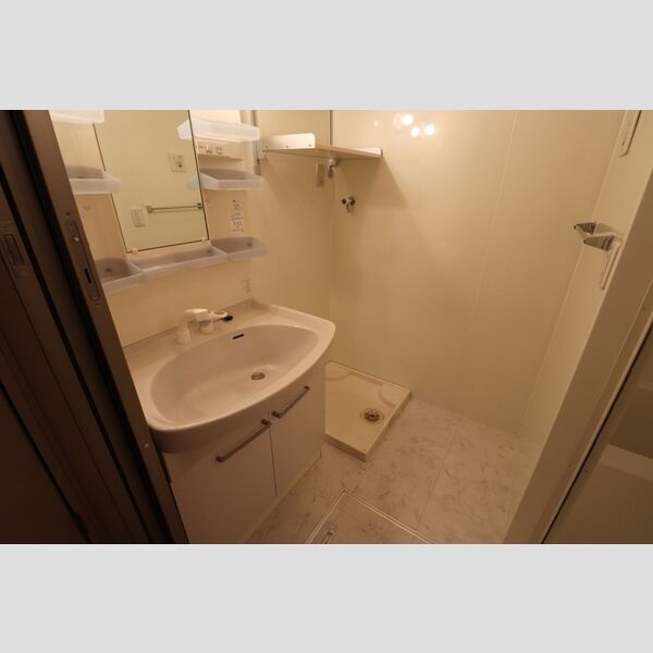 リビングタウン鍵山　A102号室 洗面所