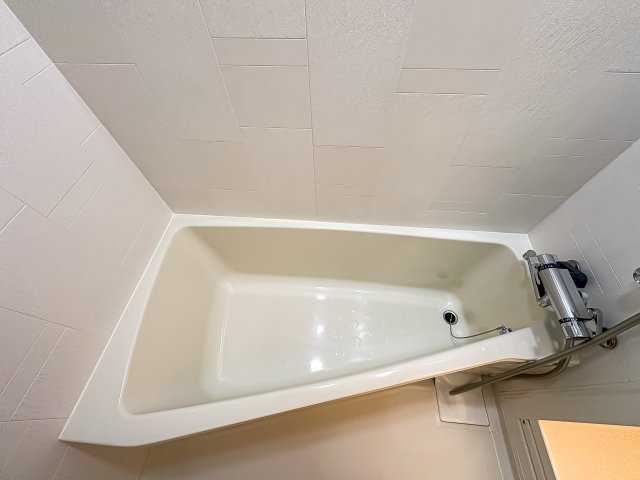 アジールコート東大井316号室 お風呂