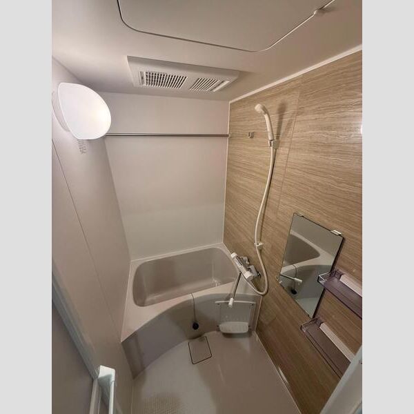 MAXIV CROS川崎大師DUE401号室 洗面