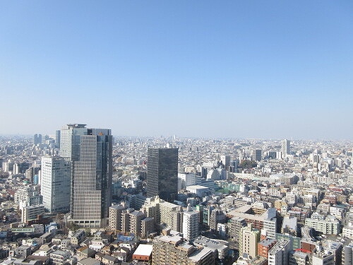 ザ・パークハウス西新宿タワー６０39階 眺望