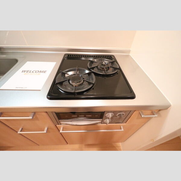 リバーハイツ幕張102号室 システムキッチン