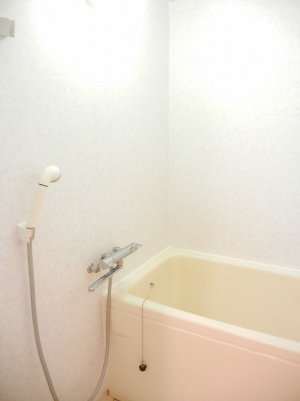 メゾン１１８ ※他の区画の写真となります