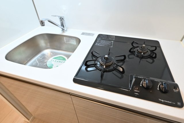 Ｌｉｖｅ　Ｃａｓａ両国Ⅱ システムキッチン（2口ガスコンロ）