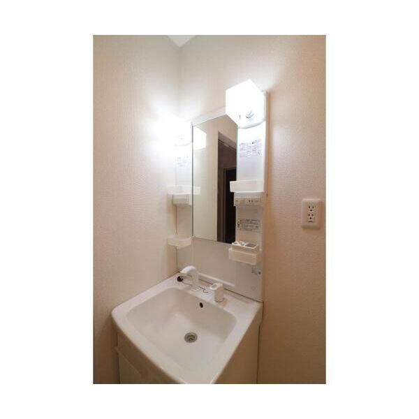 ラ・フォーレあずま203号室 洗面