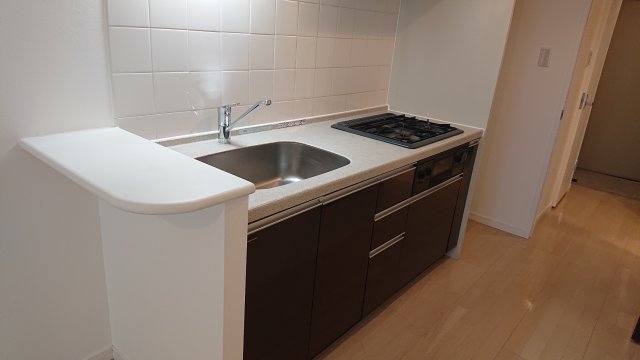 プライムアーバン豊洲433号室 キッチン