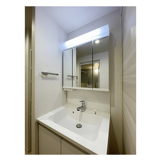 シャーメゾン国立ウエスト103号室 三面鏡タイプのシャンプードレッサー