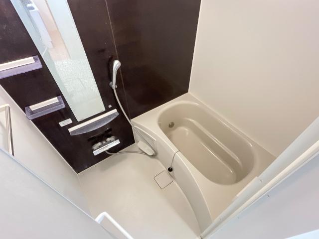 エストレヤ バス