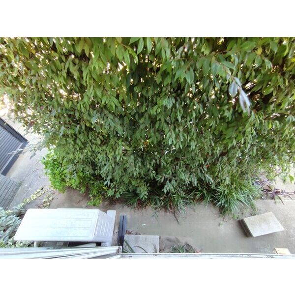 グリーンウェーブ・吉野0102号室 バルコニー