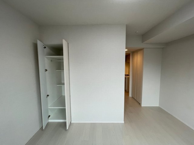 DIPS赤羽RESIDENCE304号室 収納