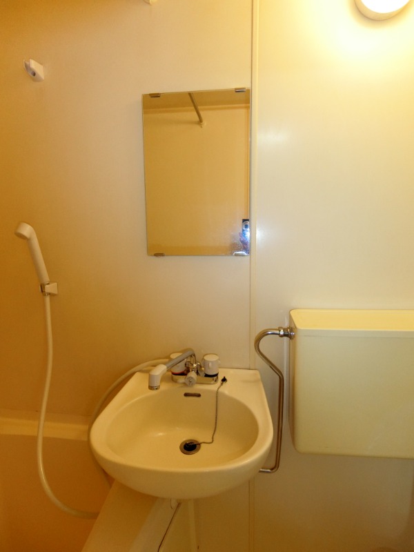 メゾン青島 洗面