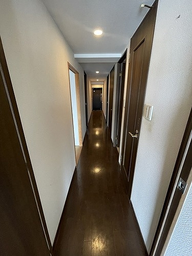 ライオンズマンション大宮高鼻町11階 廊下　清掃前