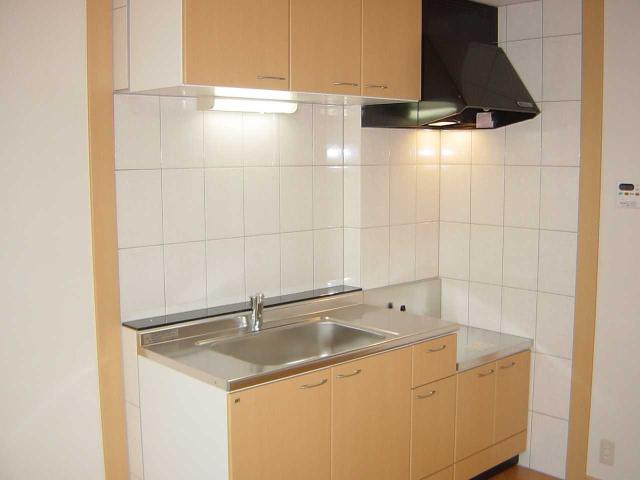 マスターピース202号室 キッチン