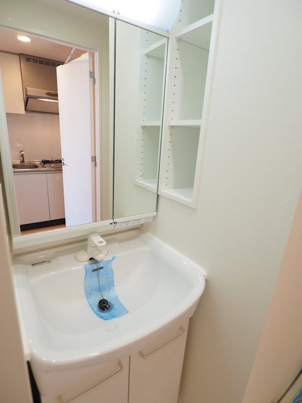 レジディア四谷三丁目7階 洗面