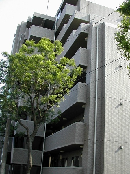 ルーブル田園調布南403号室 外観