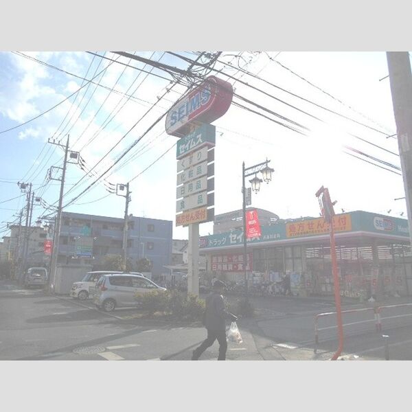 レセンテ西浦和202号室 ドラッグセイムス西浦和薬局(256m)