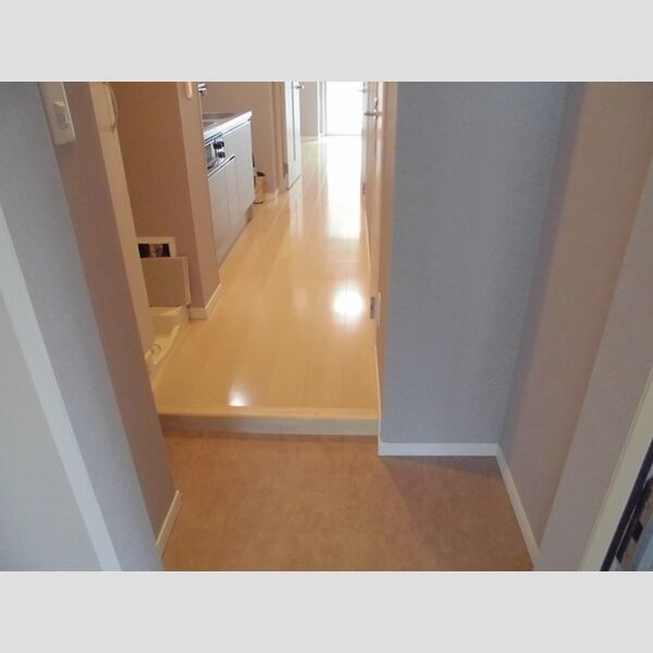 フィールドライズ日本橋401号室 玄関