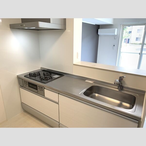 ロイジェントパークス レイクタウン Ⅲ　M システムキッチン