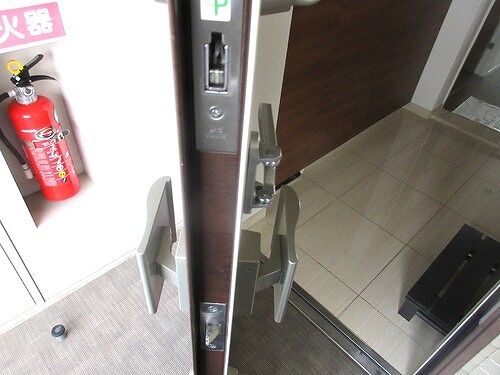 Ｂｒｉｌｌｉａレイクタウンパークサイド 玄関　ドア　内装済