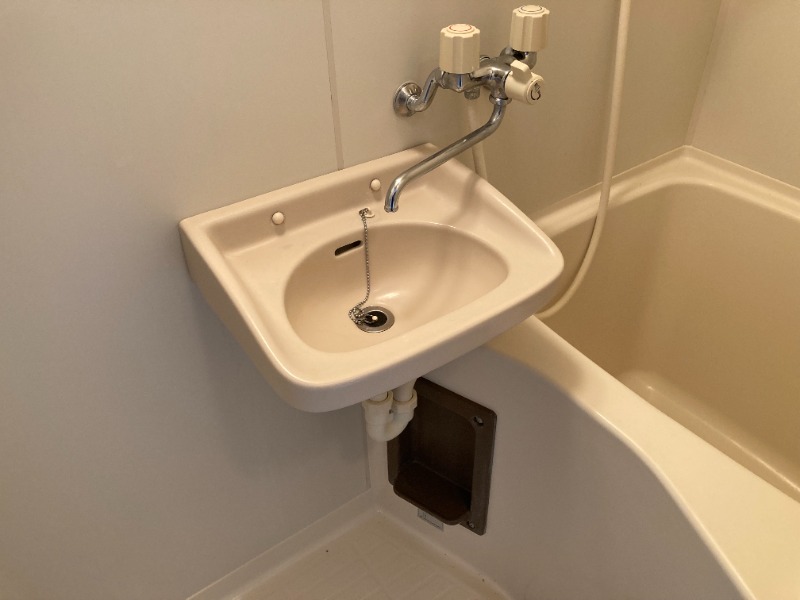 ヴェルドミール バス