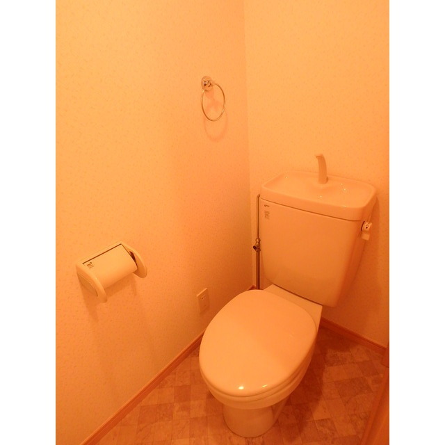 アンモードイグサ１105号室 トイレ