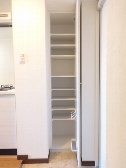 クレヴァンス川崎鹿島田902号室 玄関