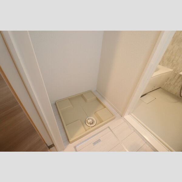 ラリュール赤塚Ⅱ301号室 洗濯機置き場