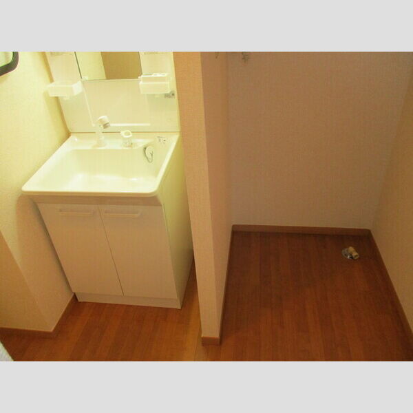 グリーンヒルズ　L棟 洗髪洗面化粧台、室内洗濯機置場