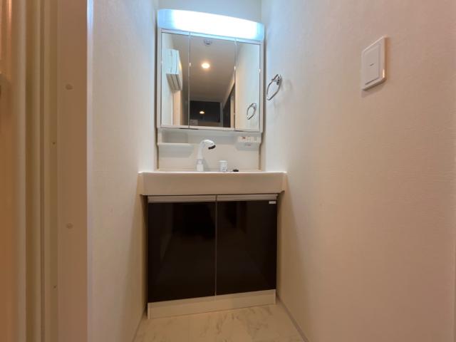 エムヒルズ（Ｍ・ＨＩＬＬＳ）603号室 洗面