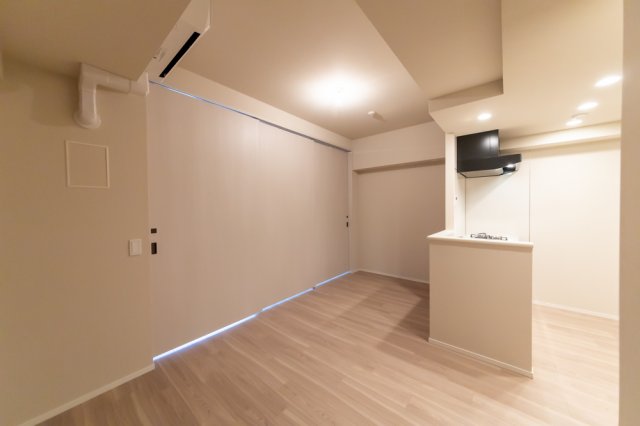 プラウドフラット両国サウス519号室 リビング