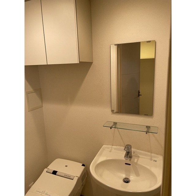 ライジングプレイス西新井603号室 洗面