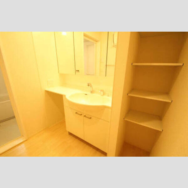 メイプルアベニュー 3号室洗髪洗面化粧台