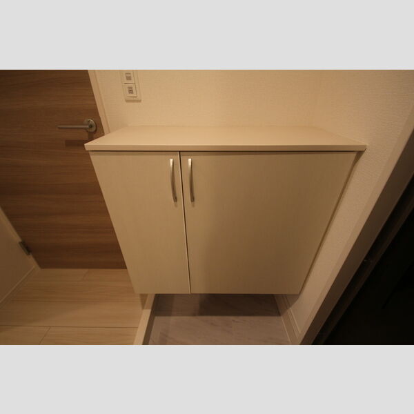 セレスティア扇Ⅱ101号室 玄関