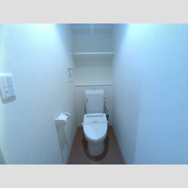 ジ・エレガンス城山101号室 トイレ