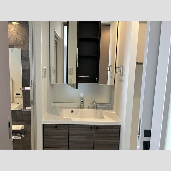 THE RejuvePort KISARAZU0905号室 洗髪洗面化粧台