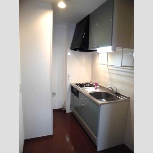 ヴィクトワール　Ⅱ101号室 システムキッチン