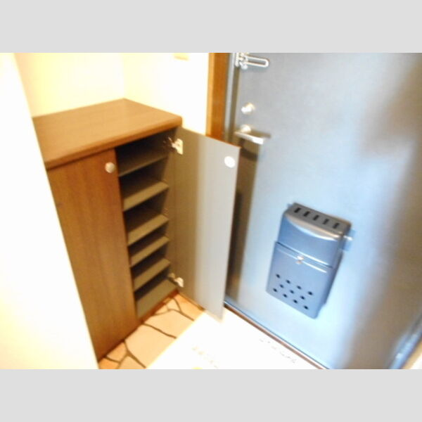 ファミール行徳207号室 カウンタータイプシューズBOX