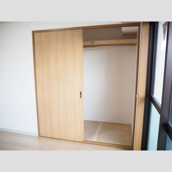 germer武蔵中原(ジェルメムサシナカハラ)313号室 洋室収納